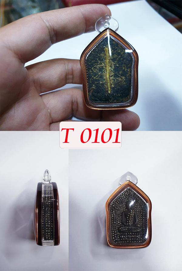 T0101