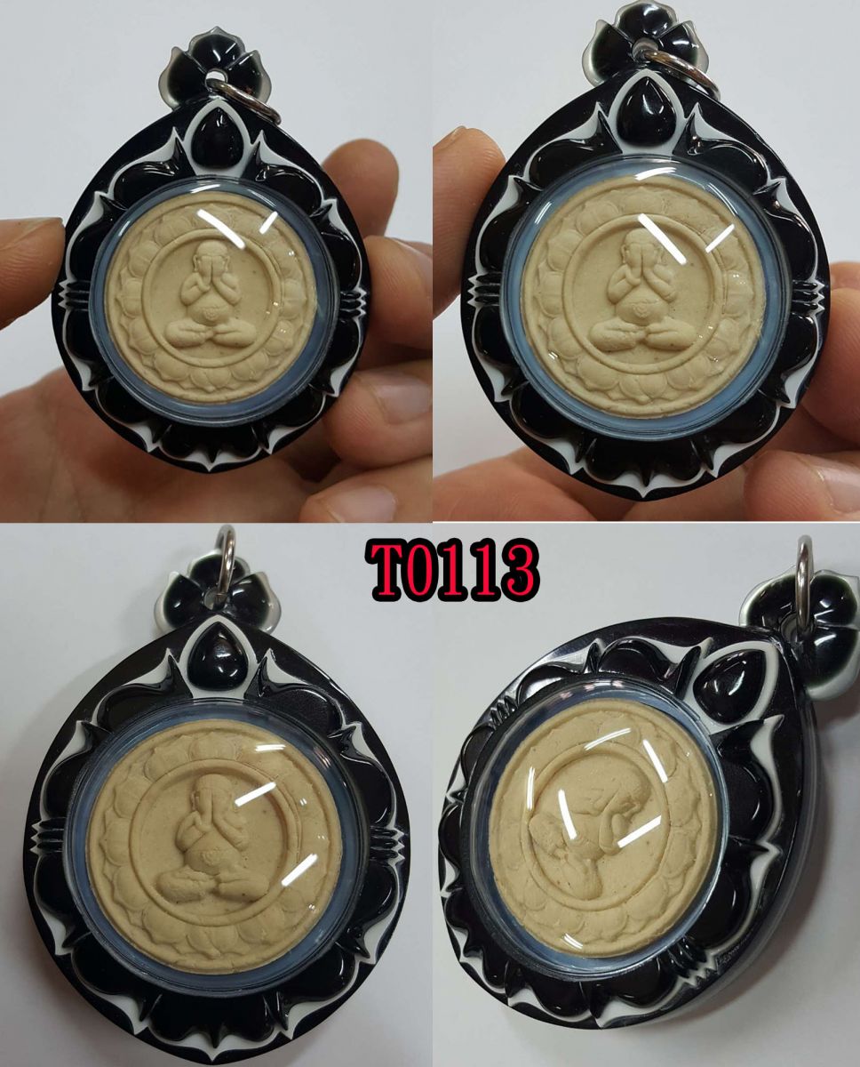 T0113