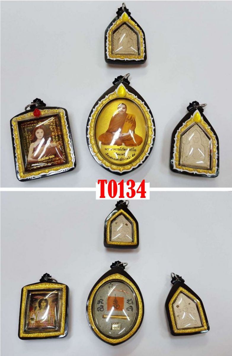T0134