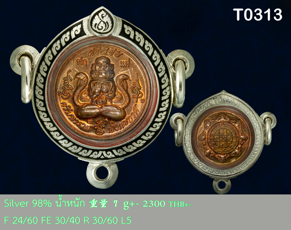 T0313