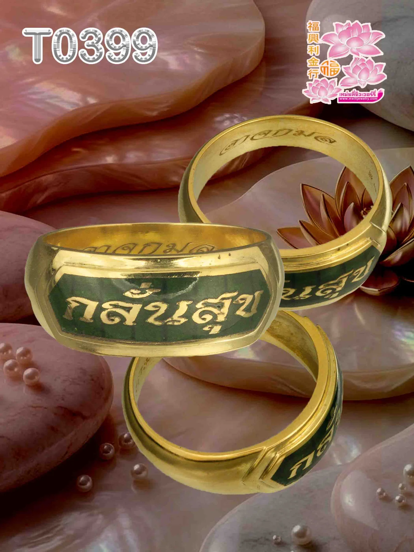 แหวนนามสกุลมีปีก หนังสือนูน พื้นสีตามสั่ง ขัดเงา - T0399